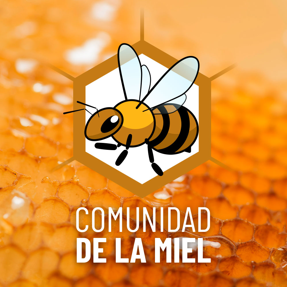 Miel orgánica - Del sur de Chile (copia)